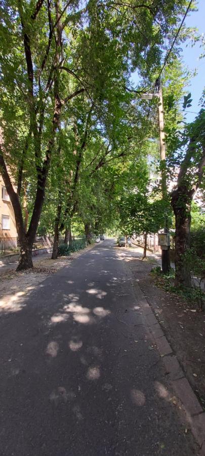 Gabrielle2 Apartman Debrecen Exteriör bild